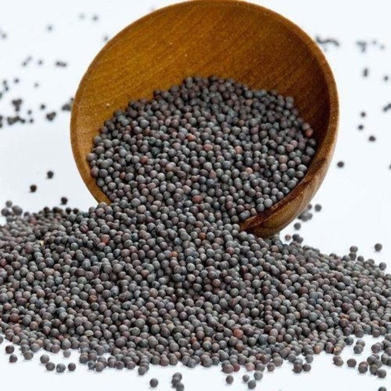 50 Kg Black Mustard Seeds